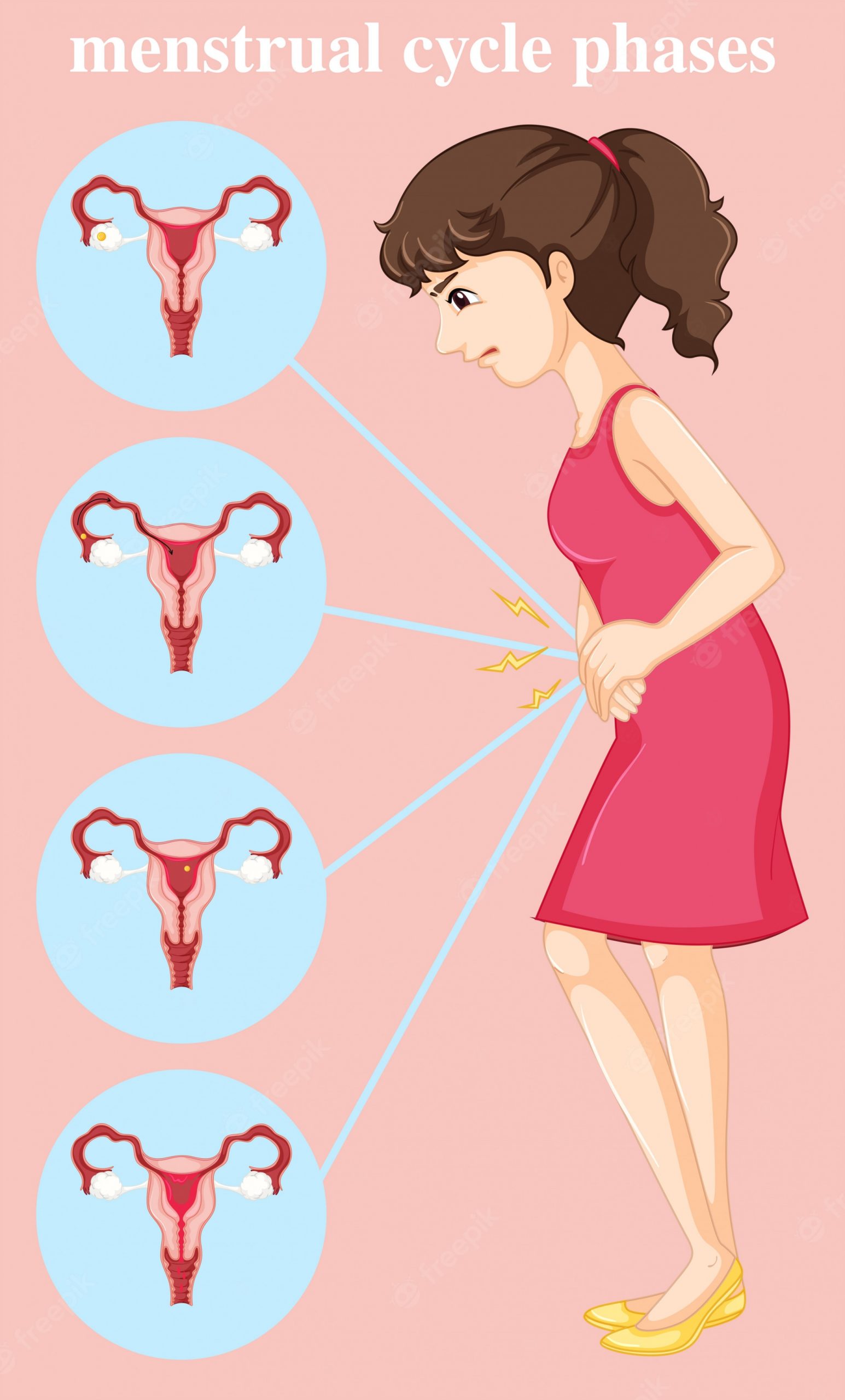 Apa itu ovulasi, ciri, arti? Kapan masa ovulasi ini terjadi? Salah satu bagian dari siklus menstruasi wanita adalah ovulasi.